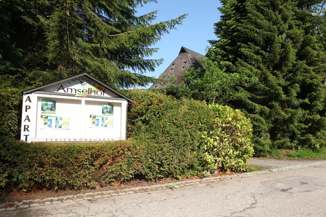Landhaus Amselhof Hinterzarten Exterior foto