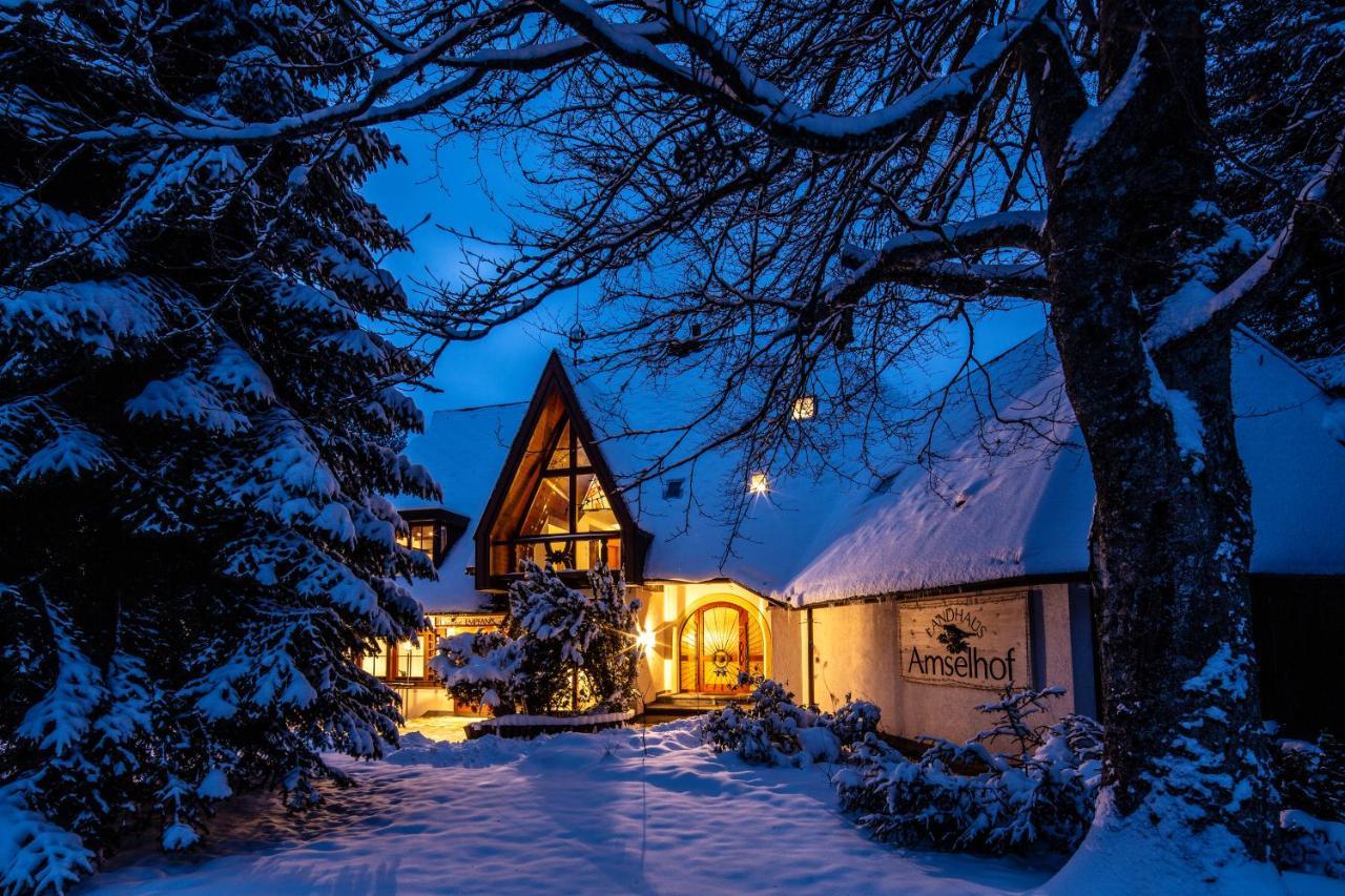 Landhaus Amselhof Hinterzarten Exterior foto